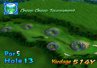 MGTT CCT13.png