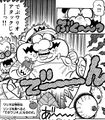 Fat Wario - Super Mario Wiki, the Mario encyclopedia