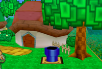 Koopa Village Warp Pipe.png