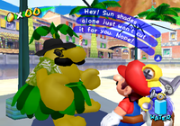 Sunshine Sunglasses Vendor.png