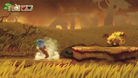 DKCTF Water Sack Prima.jpg