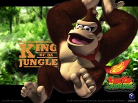 DKJB Wallpaper 9.jpg