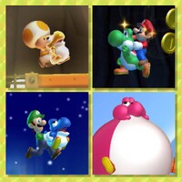 Fun Yoshi Poll NSMBUD preview.jpg