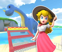 MKT Icon KoopaTroopaBeachTN64 PeachVacation.png