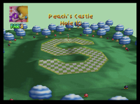 PeachCastleHole10.png
