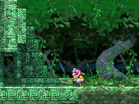 WMODE6Entrance.png