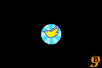 WWT Top.png