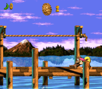 DKC3 Backwards Kongs.png