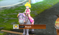 Peach Horse Pro-MSS.png
