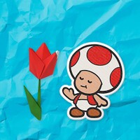 Toads Poll TOK 1.jpg