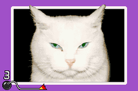 WWIMM CatNap.png