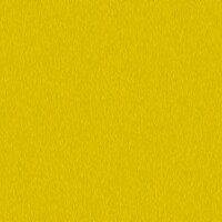 YWW Yellow Background Texture.jpg