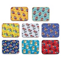 Ichibankuji SMBIdmMC35S PrizeG.jpg