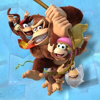 PN DKCTF tips thumb.jpg