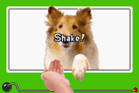 Shake.png