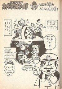 Chapter 3 SMW5.jpg