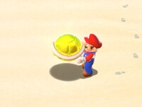 GoldShellSM3DW.jpg