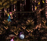 Koindozer Klamber DKC3 rope.png