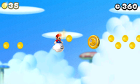 NSMB2 WS-5 1st Moon Coin.png