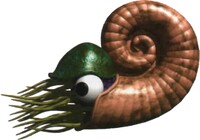 Nemo DKL side artwork.jpg