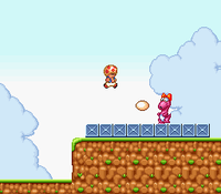 ToadvsBirdo.png