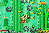 Cactus Woods DKKoS Bonus Level.png