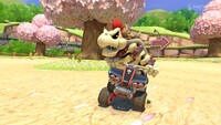 DryBowser-AnimalCrossingSpring-MK8.jpg