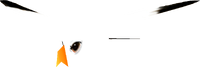 MK64 Seagull model.png