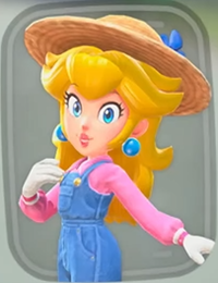 Peach Farmer MKWorld Select.png