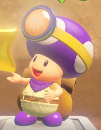 PurpleToad CTTT.png