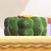 Cactus Block.jpg