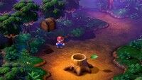 ForestMaze2Switch.jpg