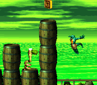 Rattle Battle DKC2 letter G.png