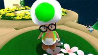 SMG2 Banktoad 2.png