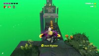 DKB Flying through the Sky.jpg
