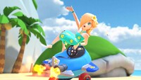 MKT Rosalina Swimwear.jpg