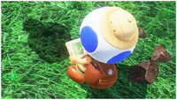 SMO BoB Map.jpg