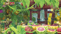 DKCTF Flower Bulb Prima.jpg