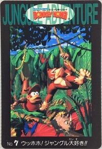 DKC Card 7.jpg
