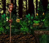 Forest Frenzy O.png