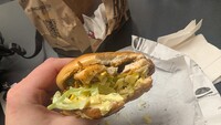HalfBaked228 13.jpg
