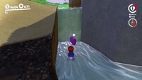 Mushroom Kingdom Coins W.jpg