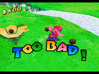 NM SMS Too Bad.png
