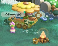 SMBWNS2EFloristPoplinShopCampCentral.jpg
