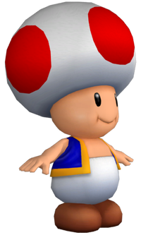 MSM Model Toad.png