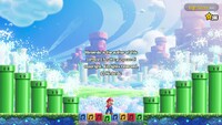 NM SMBW Starry-Staff Wonder.jpg