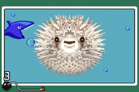 NM WWIMM Rough Puff.png