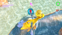 SMO Yellow Dorrie.png