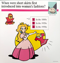 Skirts quiz card.png
