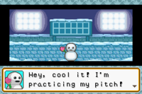 MPAsnowman.png